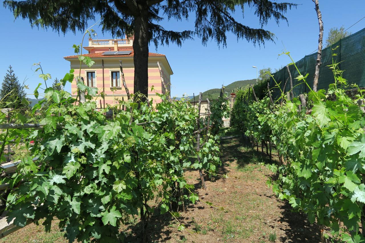 Villa Vincenza Vallo della Lucania Exteriér fotografie