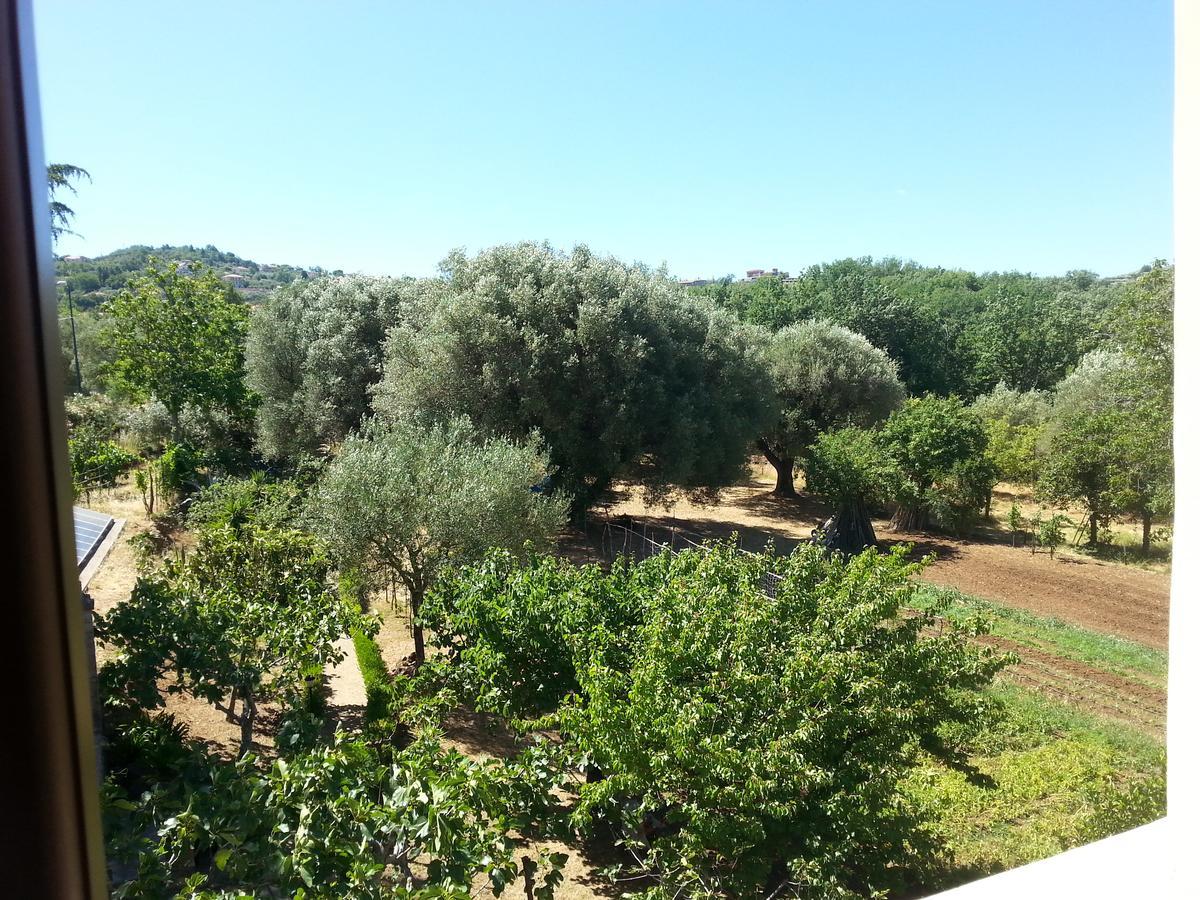 Villa Vincenza Vallo della Lucania Exteriér fotografie